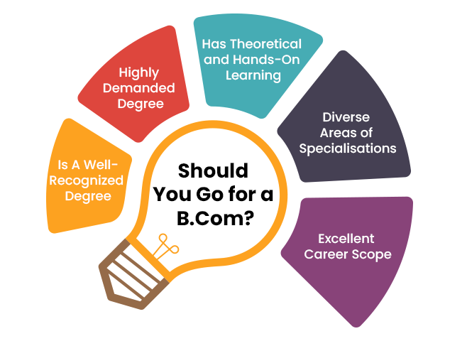 Should You Go For A Bcom E1765723747434